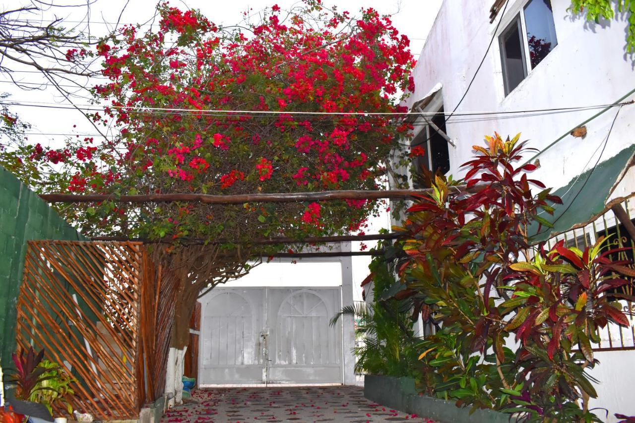 Lobo Inn Tulum Exteriér fotografie