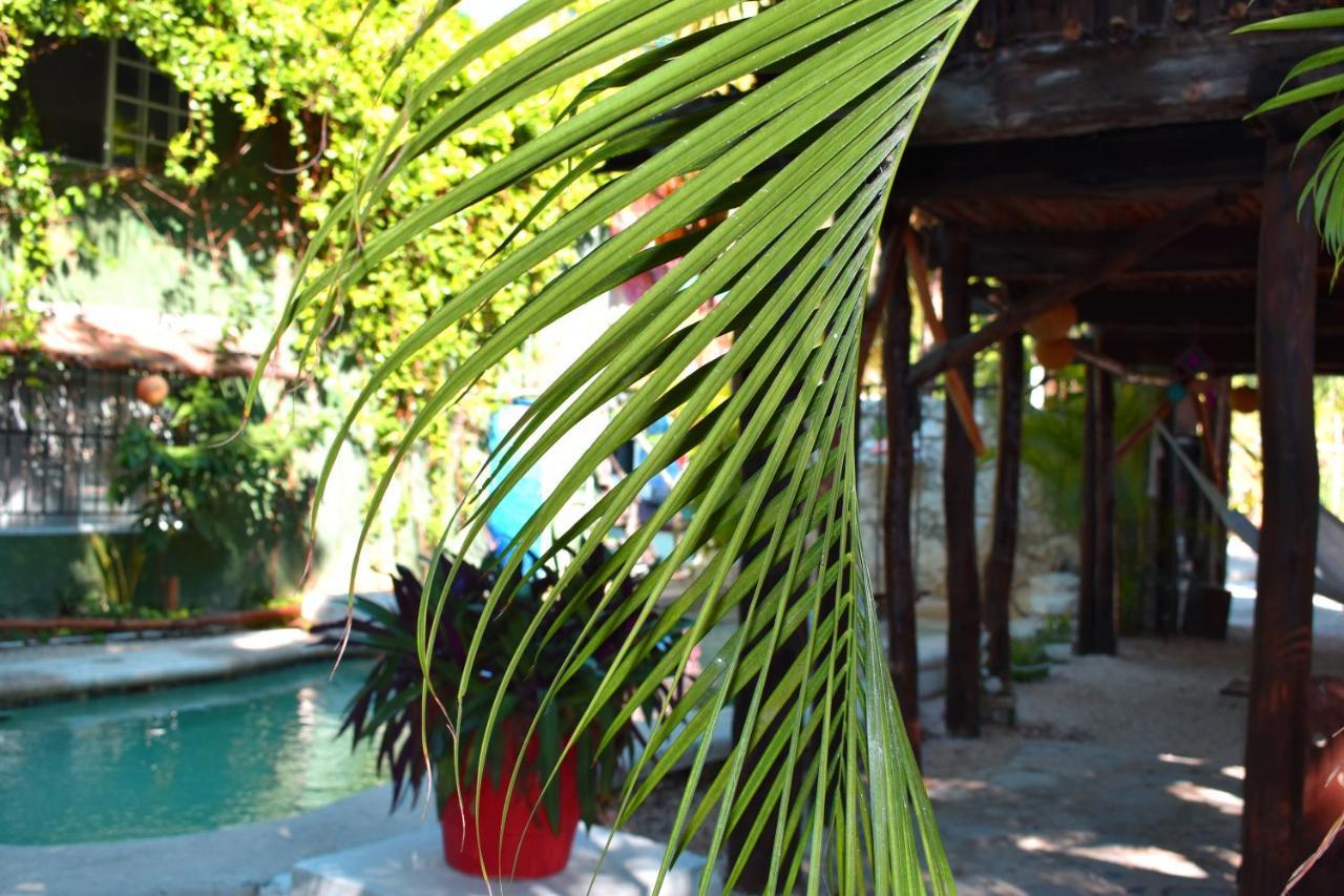 Lobo Inn Tulum Exteriér fotografie