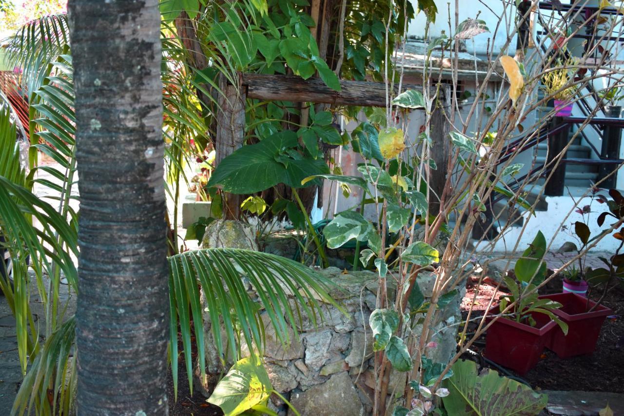 Lobo Inn Tulum Exteriér fotografie