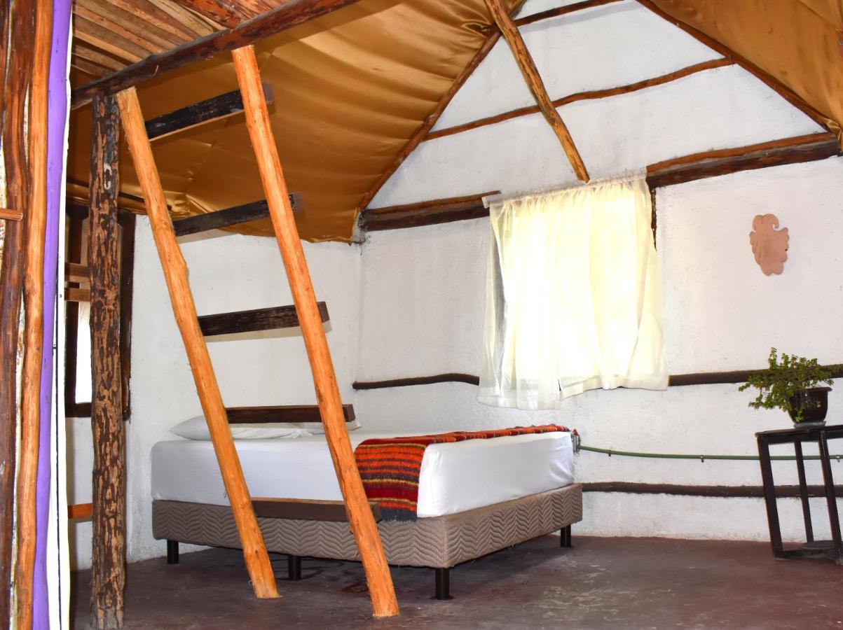 Lobo Inn Tulum Exteriér fotografie