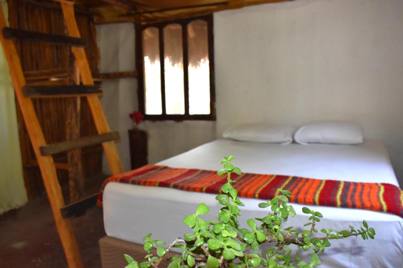 Lobo Inn Tulum Exteriér fotografie