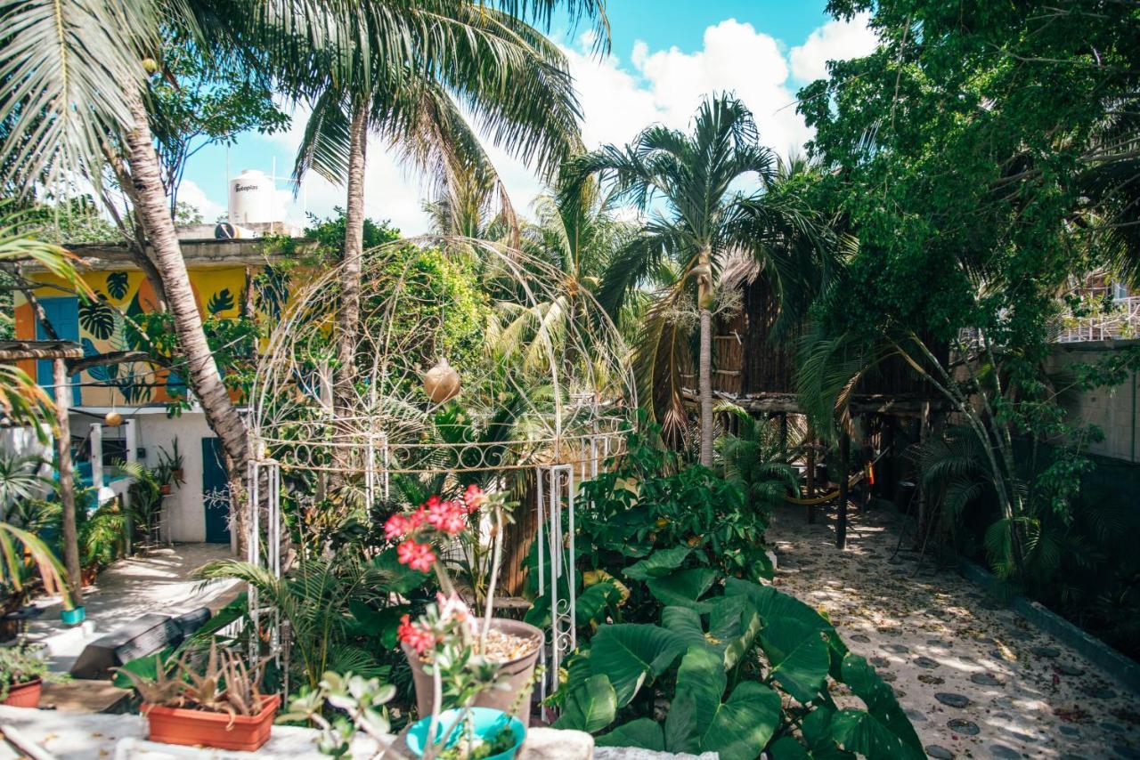 Lobo Inn Tulum Exteriér fotografie